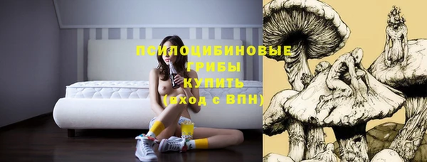 спайс Апатиты