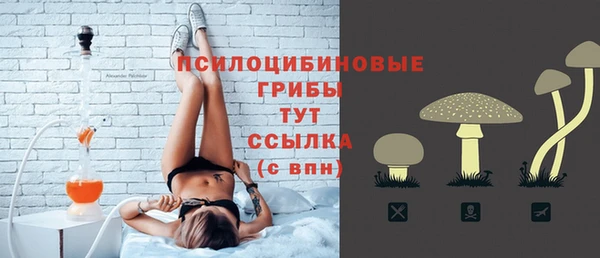 2c-b Нязепетровск