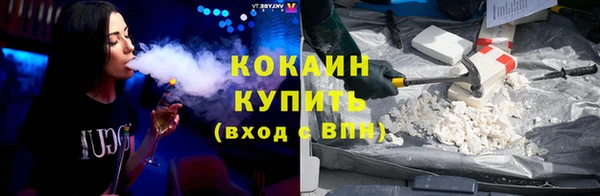 Альфа ПВП Няндома