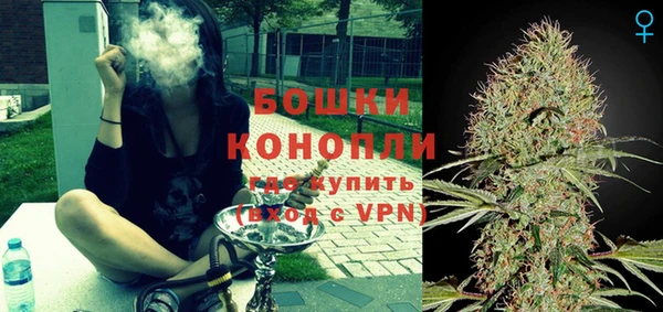 Альфа ПВП Няндома