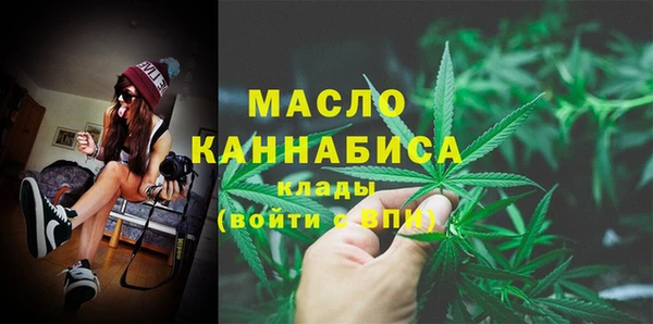 Альфа ПВП Няндома
