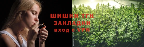 Альфа ПВП Няндома