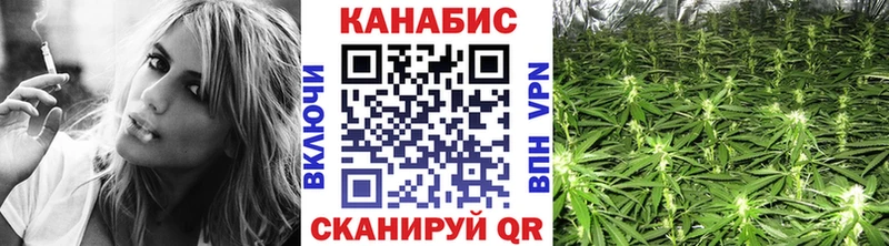 Бошки Шишки планчик  Купить  Куровское 